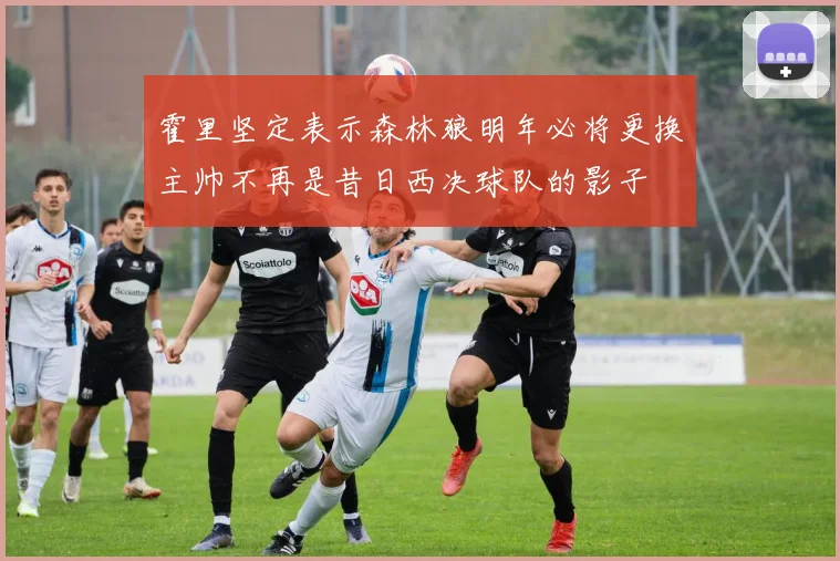 霍里坚定表示森林狼明年必将更换主帅不再是昔日西决球队的影子
